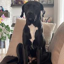 Thumbnail photo of Nia #2