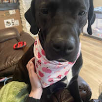 Thumbnail photo of Nia #4