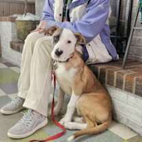 Thumbnail photo of Kit #4