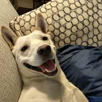 Thumbnail photo of Ash #2