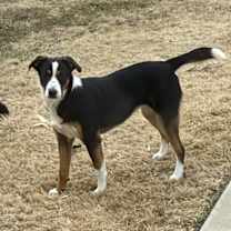 Thumbnail photo of Nadja #2