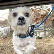 Thumbnail photo of Melbourne #2