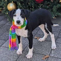 Thumbnail photo of Tater #2