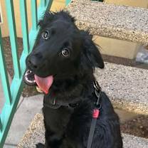 Thumbnail photo of Luffy Nahom OS NV #1