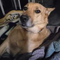 Thumbnail photo of Lexi #3