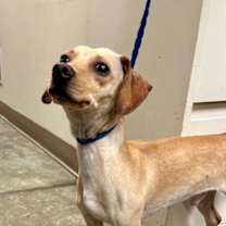 Thumbnail photo of Jackpot #1