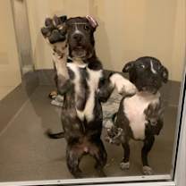 Thumbnail photo of Clarinet #3