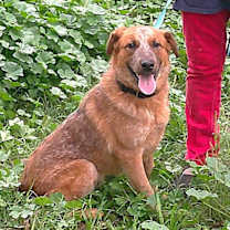 Thumbnail photo of CASEY #1