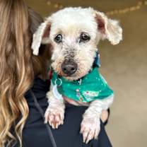 Thumbnail photo of Chip Gauss #1