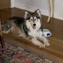 Thumbnail photo of Darla #2