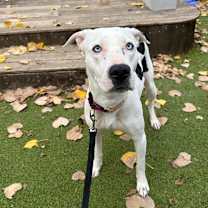 Thumbnail photo of Gazpacho #2