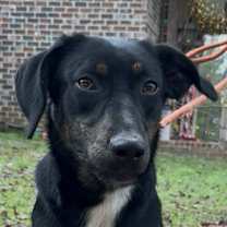 Thumbnail photo of Ellie #1