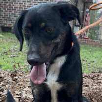 Thumbnail photo of Ellie #4