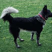 Thumbnail photo of Baby Girl #1