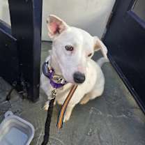 Thumbnail photo of Meredith #2