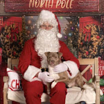 Thumbnail photo of MAX #3