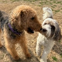 Thumbnail photo of Olivia #3