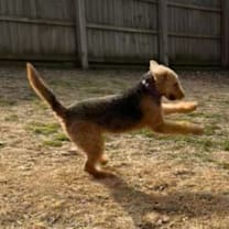 Thumbnail photo of Olivia #4