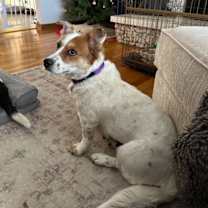 Thumbnail photo of Reba #3