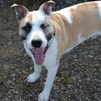 Thumbnail photo of River #2