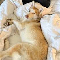 Thumbnail photo of Mwindaji #3