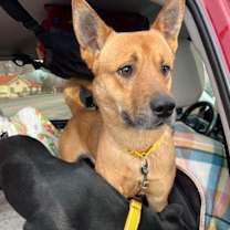 Thumbnail photo of Soren #4