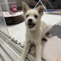 Thumbnail photo of Mindy #2