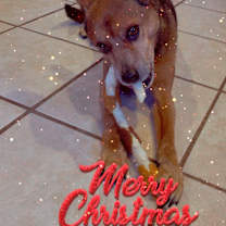 Thumbnail photo of Copper #1