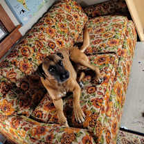 Thumbnail photo of Bruce #2