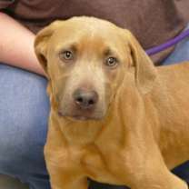 Thumbnail photo of Spike (courtesy post) #1