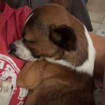 Thumbnail photo of Axle #2