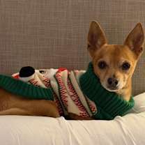 Thumbnail photo of Herman #2 #2