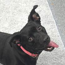 Thumbnail photo of Polly Pocket #2