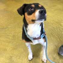 Thumbnail photo of Avery #2