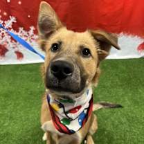 Thumbnail photo of Boots #3