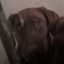 Thumbnail photo of Ariel #2