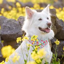 Thumbnail photo of BLUE #2