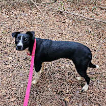 Thumbnail photo of Betty #2