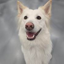 Thumbnail photo of BLUE #3