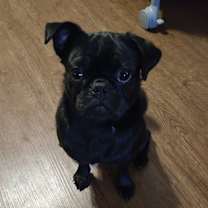 Thumbnail photo of Jerry #2