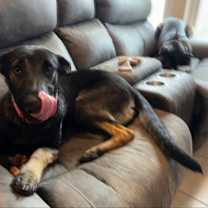 Thumbnail photo of Coco Chanel #1