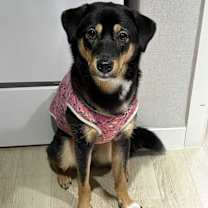 Thumbnail photo of OREO #2