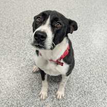 Thumbnail photo of Charity #3