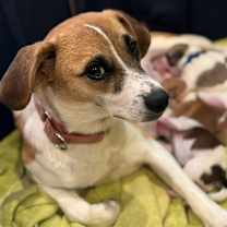 Thumbnail photo of Katy #3