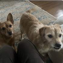 Thumbnail photo of Jack #2