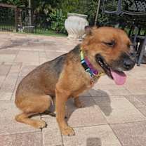 Thumbnail photo of Reba #4