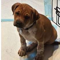 Thumbnail photo of Slim #3