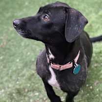 Thumbnail photo of Legacy #4