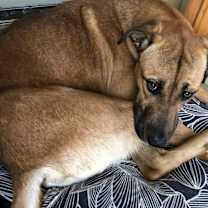 Thumbnail photo of Jaxxon #3