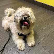 Thumbnail photo of Max #2